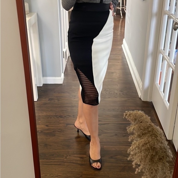 Milly Helix Mesh Skirt - Picture 3 of 15